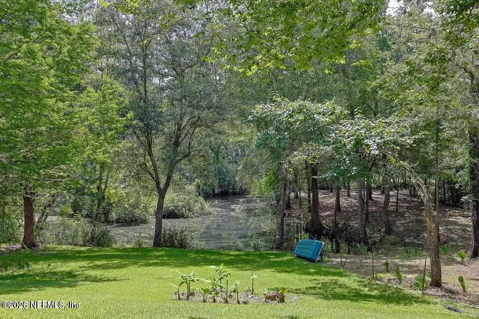 2235 Strawberry Lane, Middleburg, FL 32068 - #1