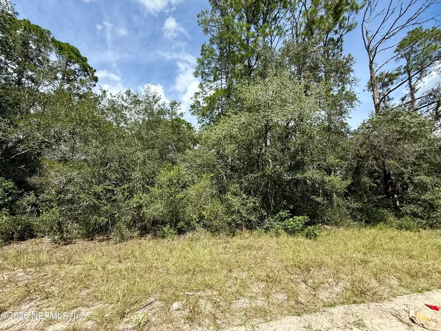 000 Sharon Street, Interlachen, FL 32148 - #2