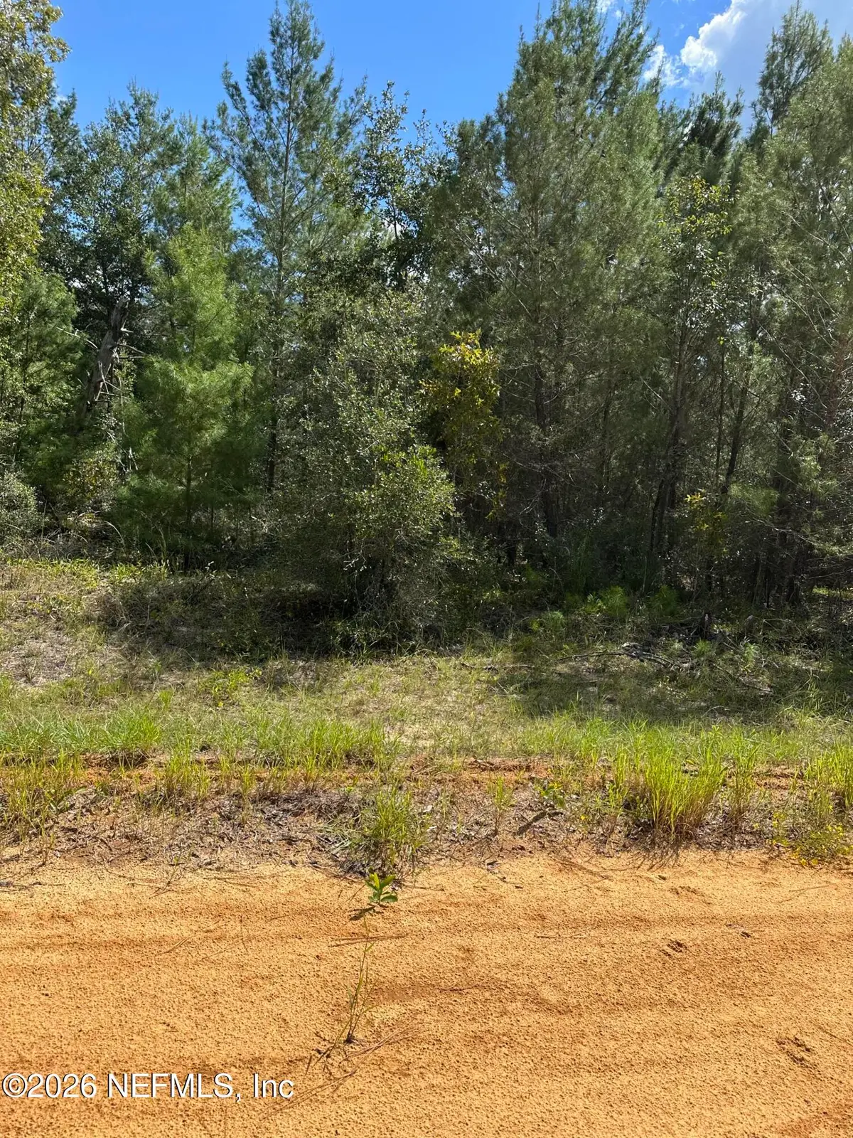 00 Gloria Ave, Interlachen, FL 32148 - #1