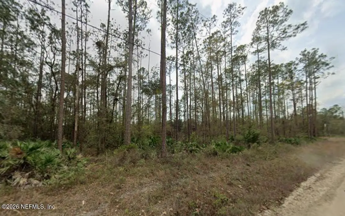 0 Glisson Street, Interlachen, FL 32148 - #1