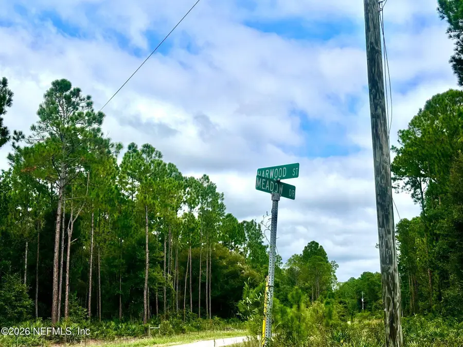 132 Harwood Street, Georgetown, FL 32139 - #3