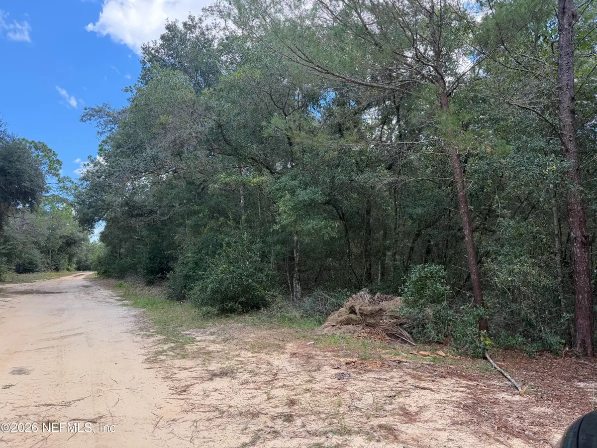 105 Ipswich Avenue, Interlachen, FL 32148 - #1
