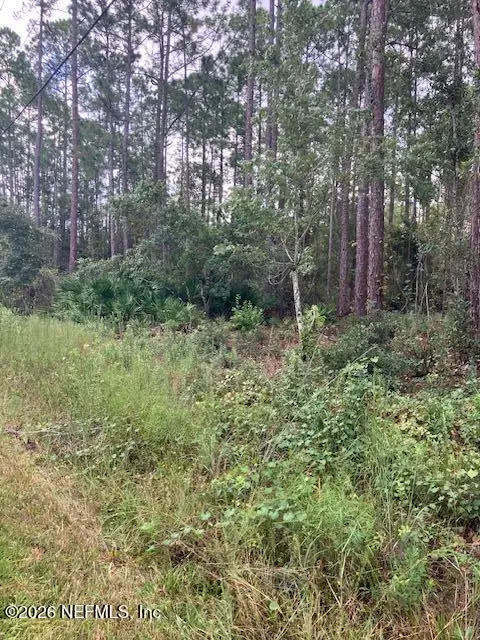 4515 Mahogany Boulevard, Bunnell, FL 32110