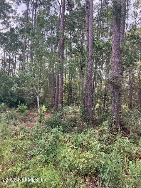 4515 Mahogany Boulevard, Bunnell, FL 32110 - #2