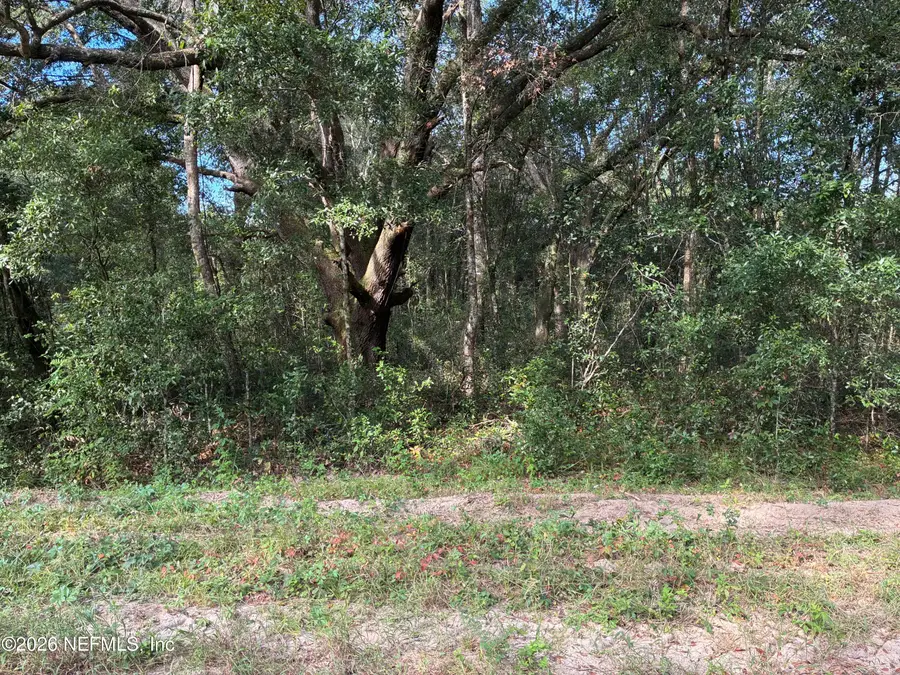 0 Debra Circle, Interlachen, FL 32148 - #3