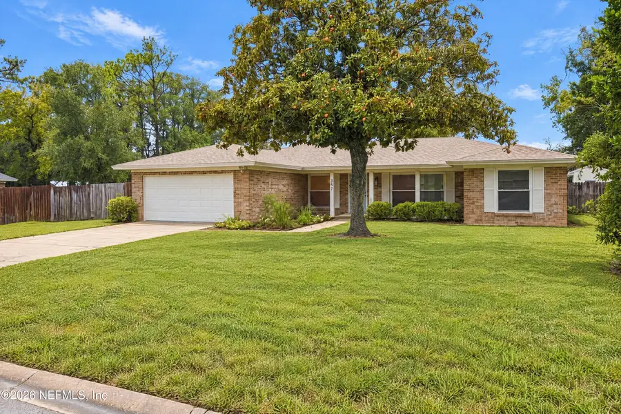 357 Dillon Drive, Orange Park, FL 32073 - #3