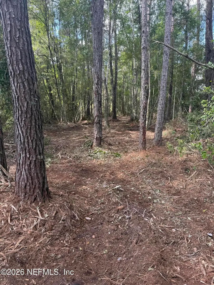 000 Le Harvey Road, Glen Saint Mary, FL 32040 - #3