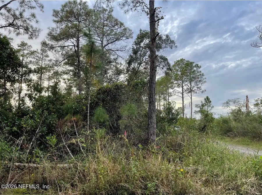2890 Nectarine Road, Deland, FL 32724 - #2
