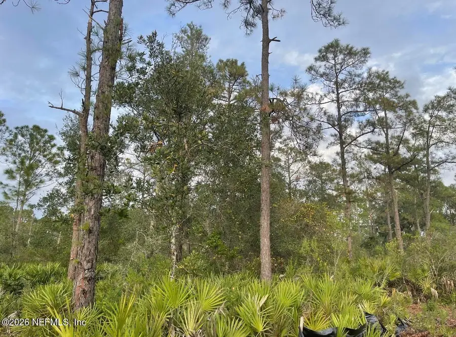 2890 Nectarine Road, Deland, FL 32724 - #3