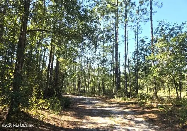 6049 Westwood S Road, Maxville, FL 32234 - #3