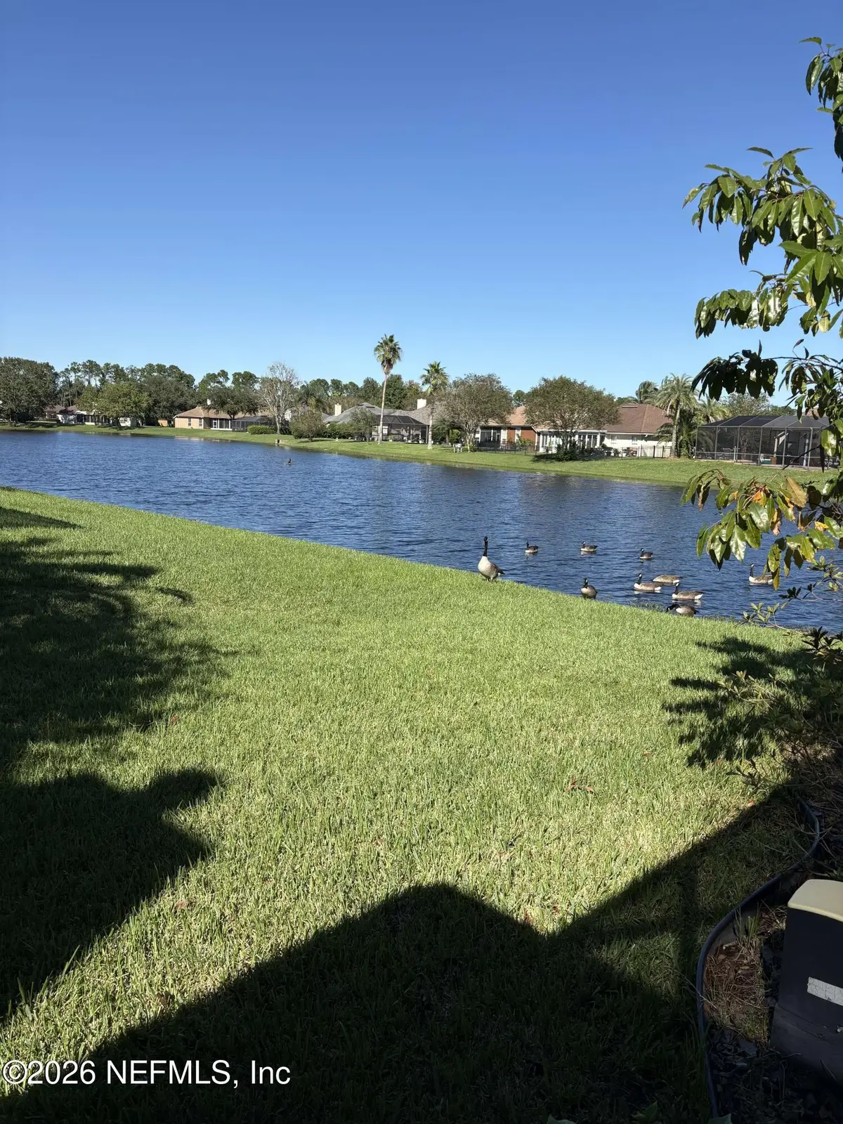 2253 Bristol Spring Court, Jacksonville, FL 32246 - #1