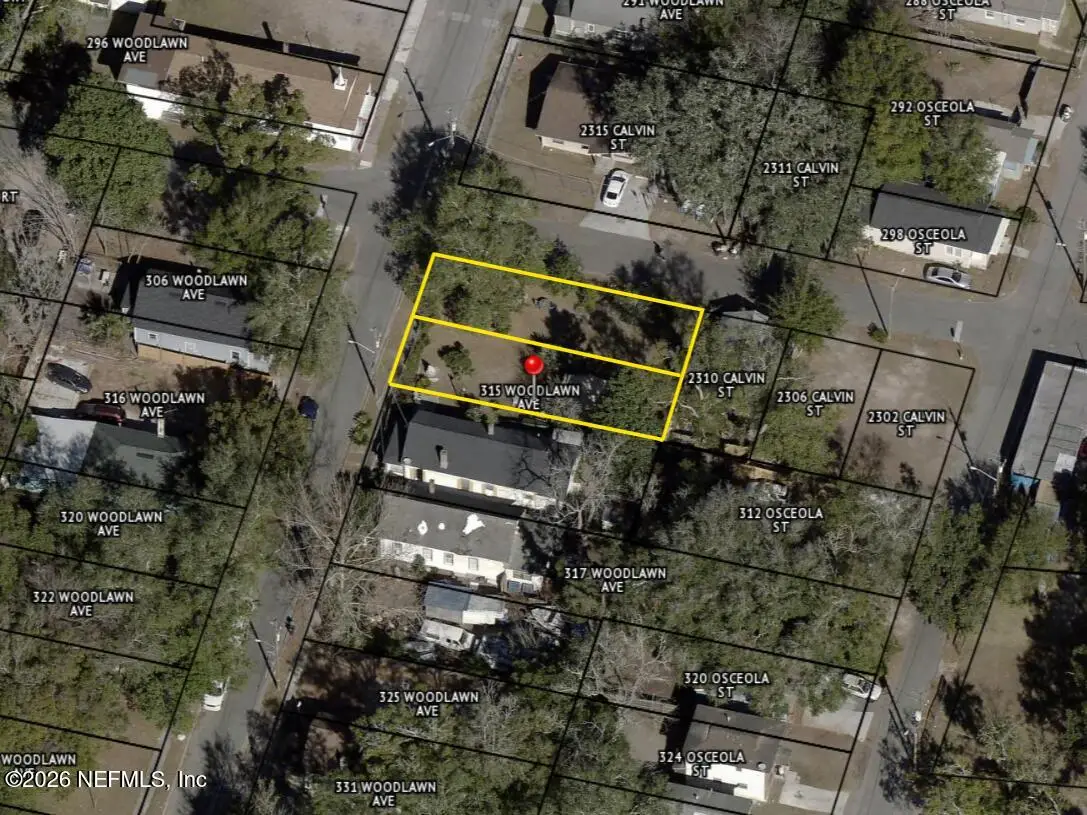 315 Woodlawn Avenue, Jacksonville, FL 32204 - #1