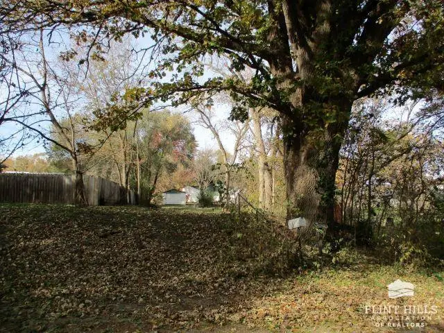 222 Chick Street, Council Grove, KS 66846 - Image #1