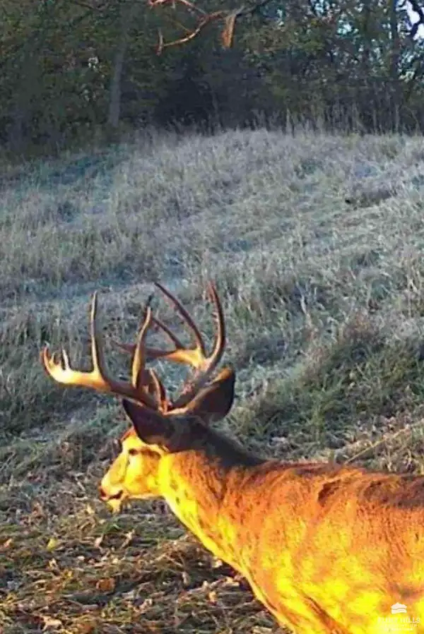 2371 Highway 4, Herington, KS 67449