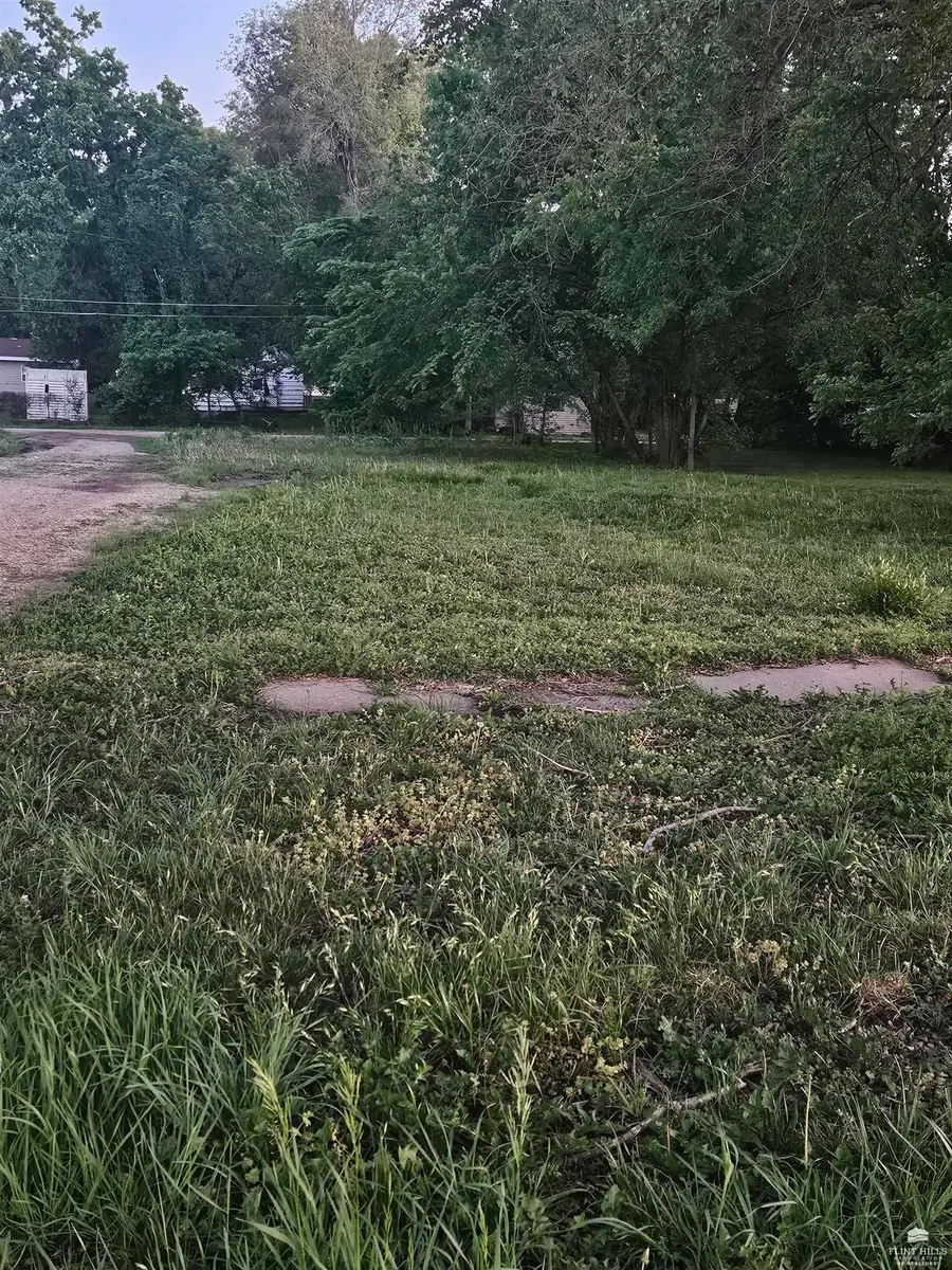 229 E 3rd Street, Junction City, KS 66441 - #2