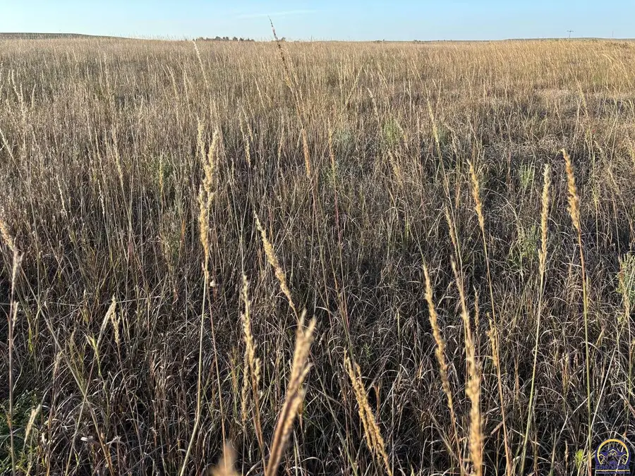 1961 Hwy 50, Strong City, KS 66869 - Image #3