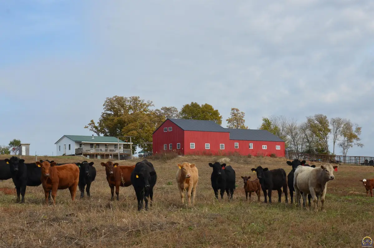 20031 S Berryton Rd, Lyndon, KS 66451 - Image #1