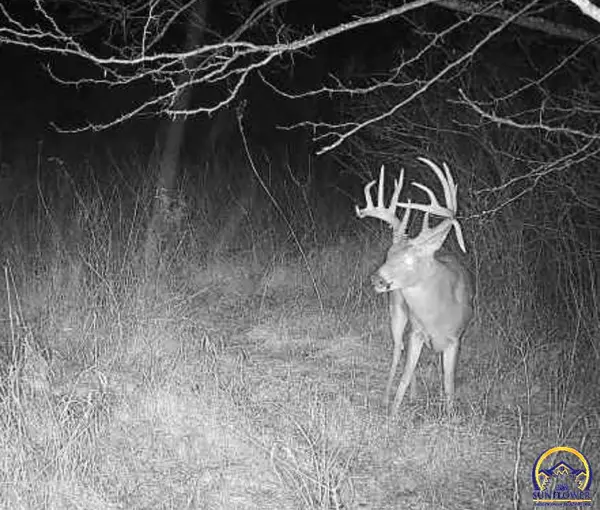 00000 O Rd, Mayetta, KS 66509