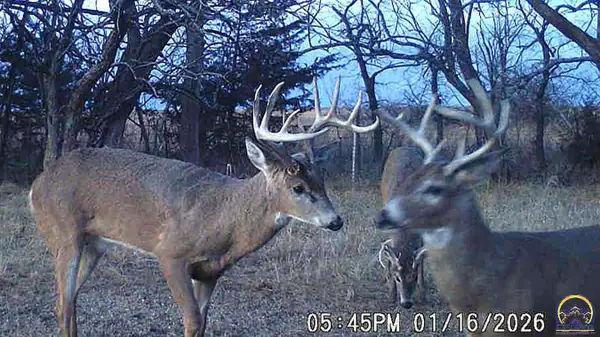 3175 Road P, Admire, KS 66830