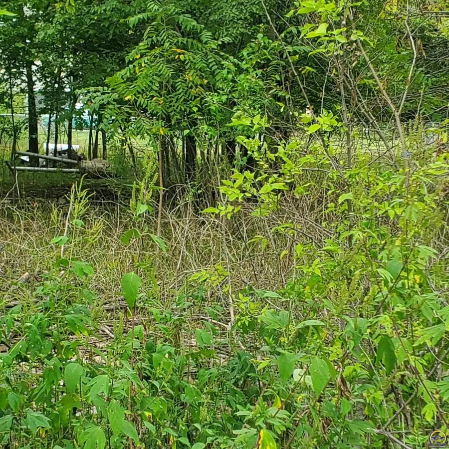 000 W 3rd St #3rd and Jefferson St., Lyndon, KS 66451 - #3