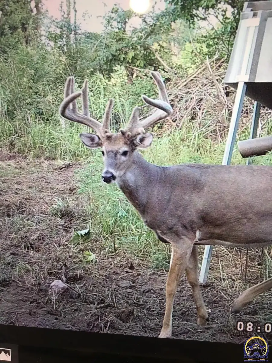 00000 102nd Rd, Hoyt, KS 66440 - #2