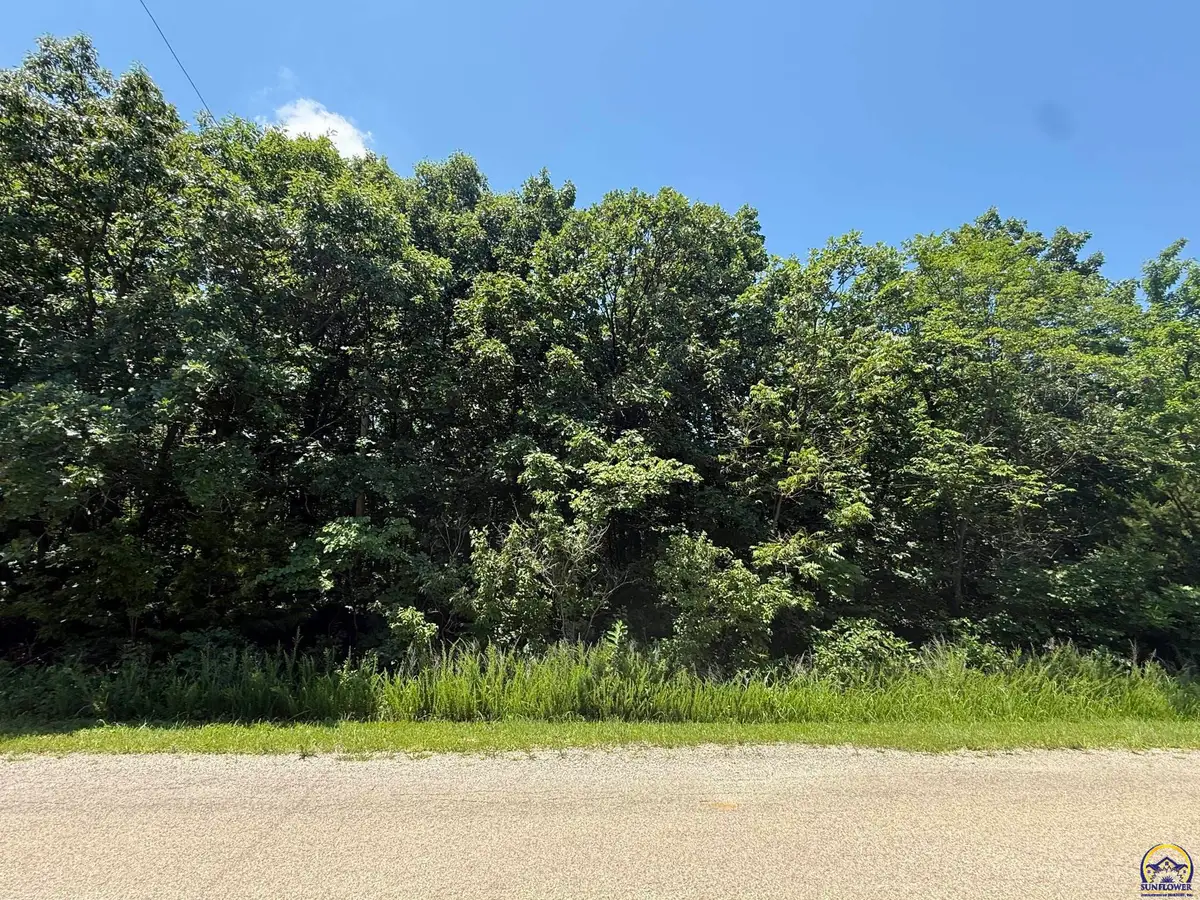 6787 & 6791 Lake Ridge Pkwy, Ozawkie, KS 66070 - #1