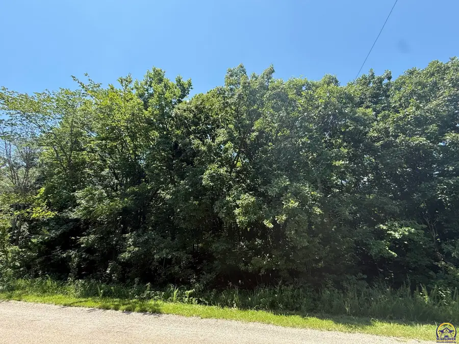 6787 & 6791 Lake Ridge Pkwy, Ozawkie, KS 66070 - #3