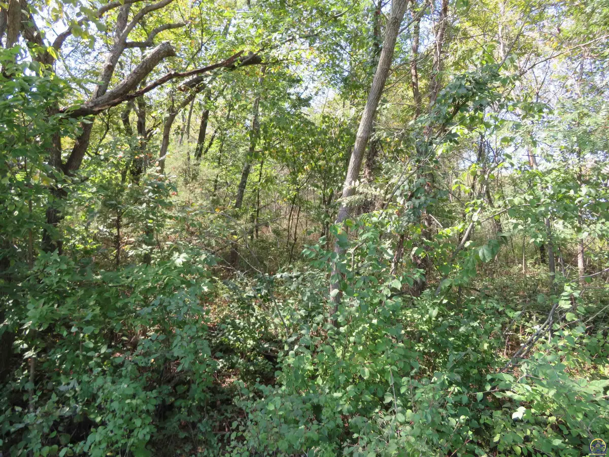 0000 Crescent Rim Dr #Lots 26 and 27, Ozawkie, KS 66070 - #1