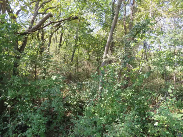 0000 Crescent Rim Dr #Lots 26 and 27, Ozawkie, KS 66070