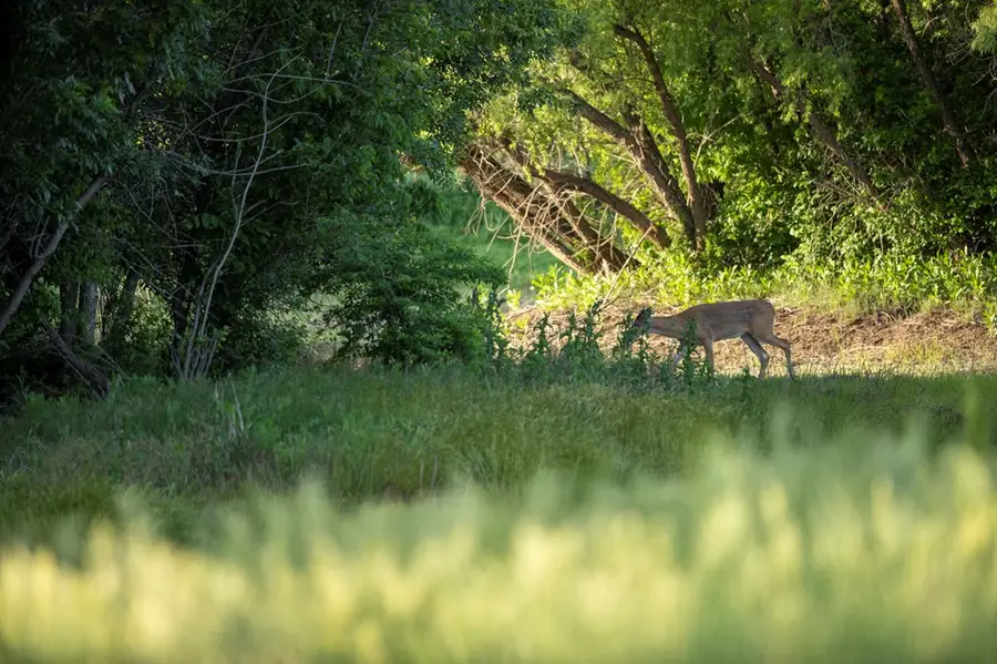 0000 Hwy 106, Delphos, KS 67436 - Image #2