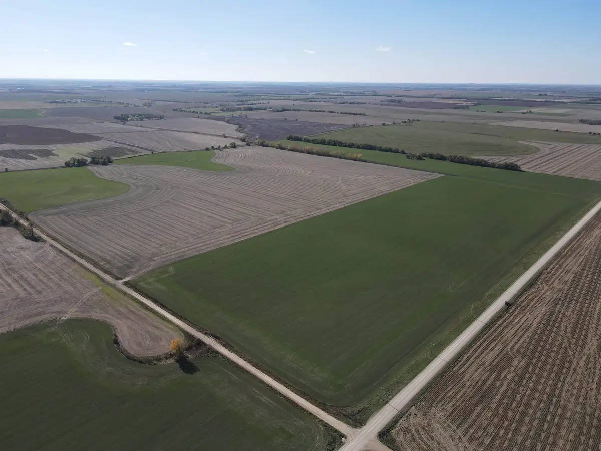 00000 Daisy Rd., Solomon, KS 67480 - Image #1