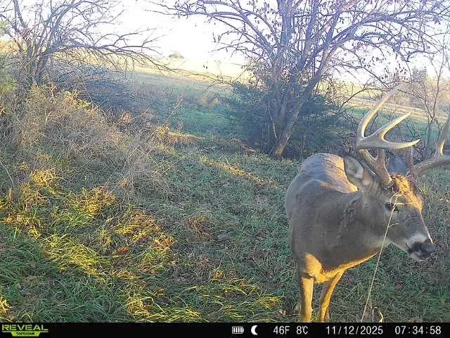 00000 R Avenue, Wilsey, KS 66873 - Image #2