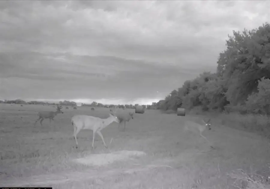 00000 S Lachland #2, Clearwater, KS 67026 - #3