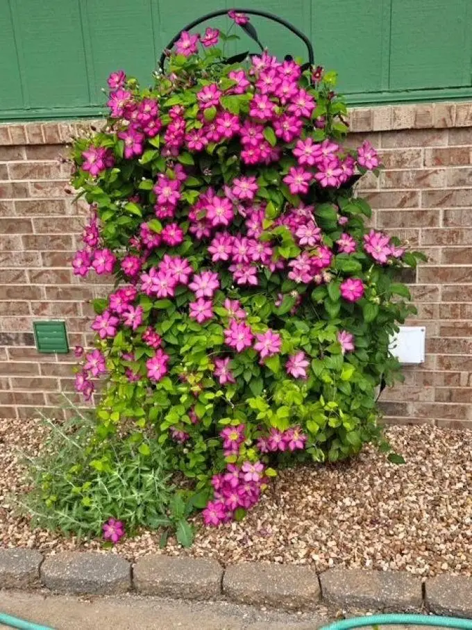 400 Laura St, Salina, KS 67401 - #3