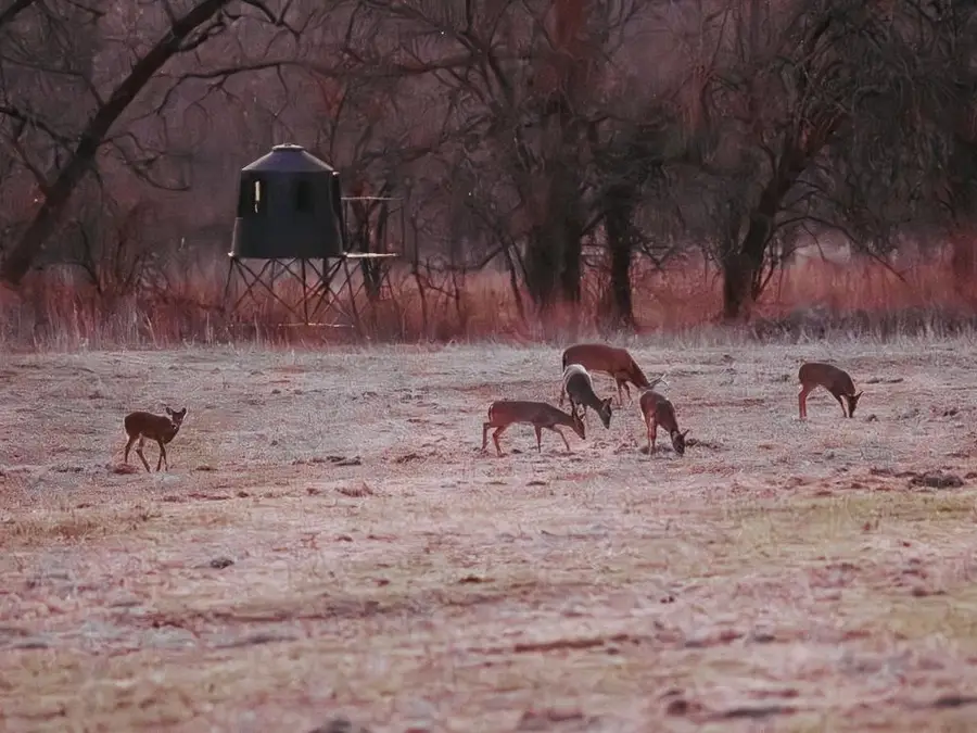 0000 202nd Rd, Cedar Vale, KS 67024 - #3