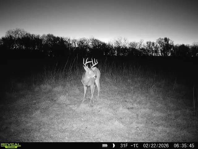 0000 30th Avenue, Canton, KS 67428 - #2