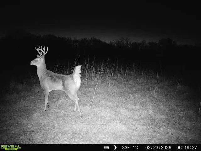 0000 30th Avenue, Canton, KS 67428 - #3