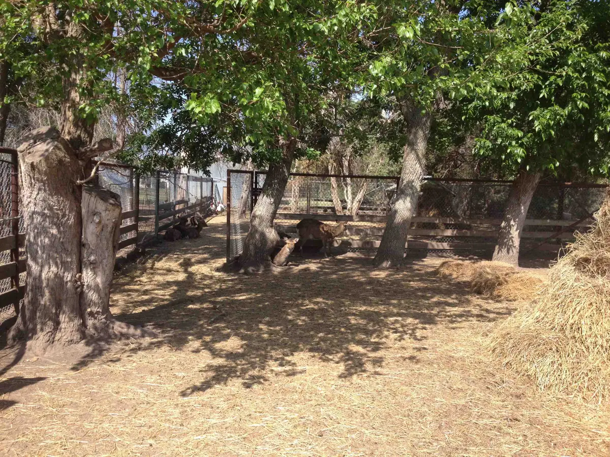 111 S Florence, Wichita, KS 67209 - #1