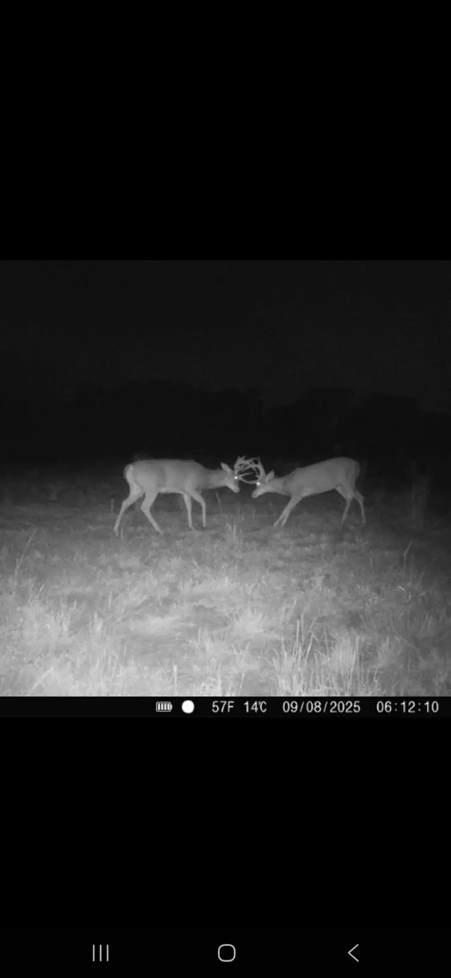 00000 E 70th, Belle Plaine, KS 67013 - #3