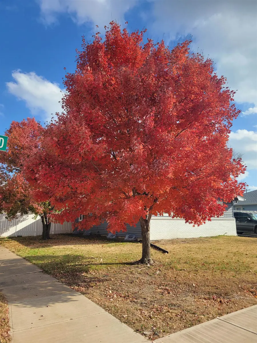 2605 Robin Rd., Salina, KS 67401 - #3