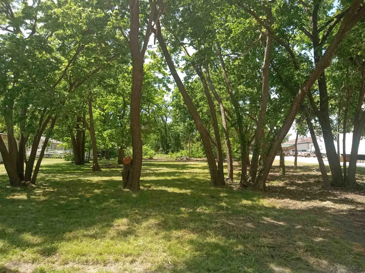 101 Walnut, Halstead, KS 67056 - #1