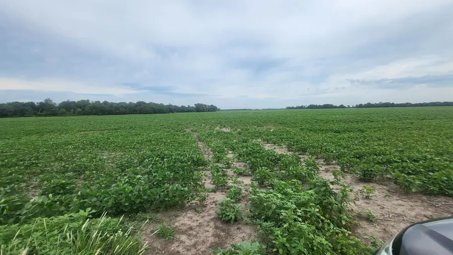 0000 N 22nd Avenue & Eisenhower Road, Moundridge, KS 67107 - #3