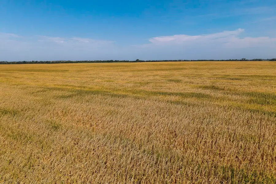 0000 S Gypsum Valley, Gypsum, KS 67448 - #3