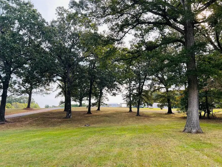 11114 State Route 131, Other, KY 42082 - Image #3