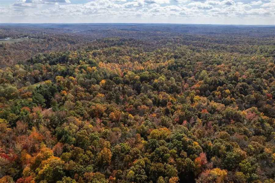 0 Askins Road, Fordsville, KY 42343 - Image #3