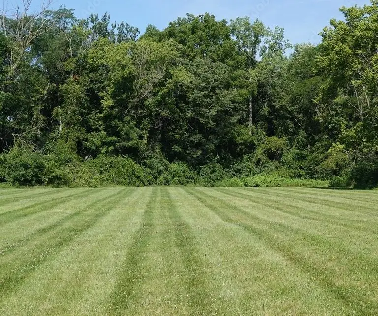 9000 Hwy 231, Utica, KY 42376 - Image #1