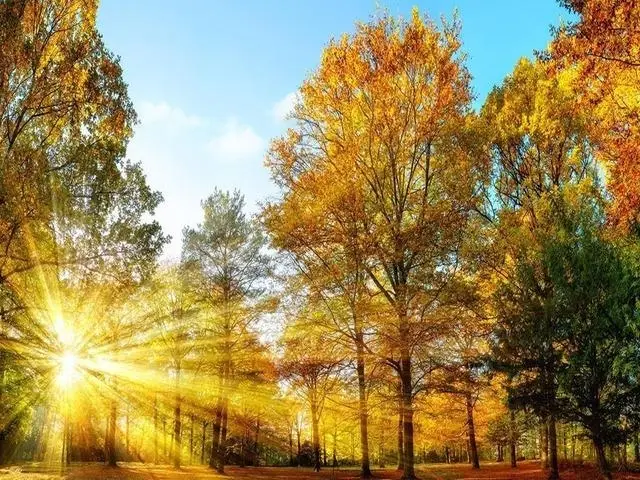 3195 Bridgewater Cove, Owensboro, KY 42303 - Image #1