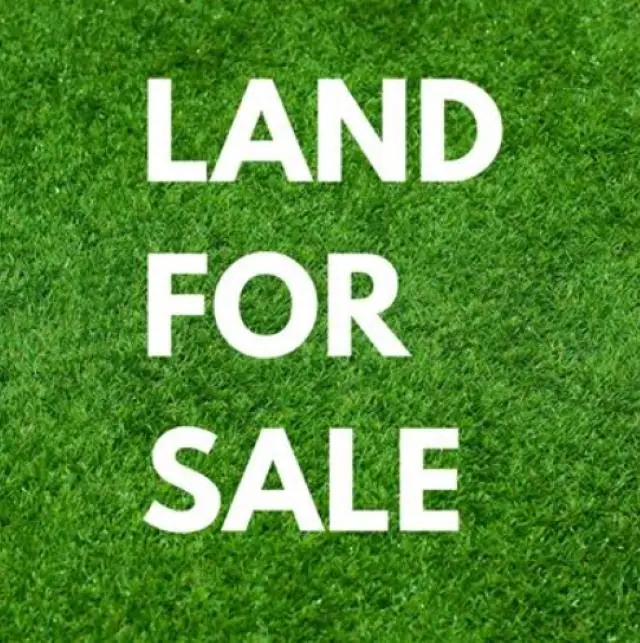 Lot 9 Hawesville Easton Rd, Reynolds Station, KY 42368 - #1