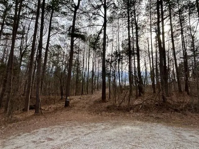 938 Kassinger Ln, Hartford, KY 42347 - Image #2