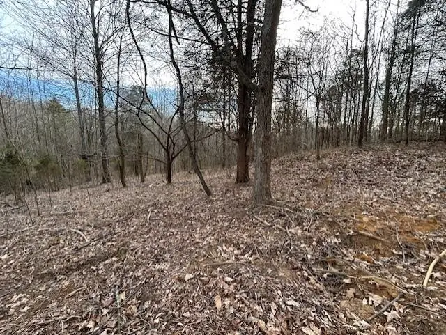 938 Kassinger Ln, Hartford, KY 42347 - Image #3